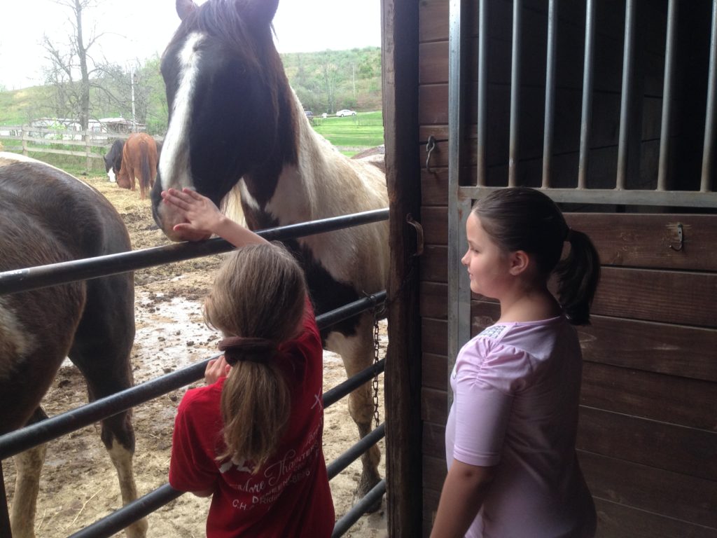 Children and horses at summer camp