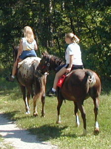 People riding horses on a trail.